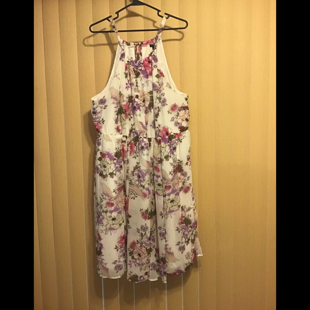 Torrid Skater Dress